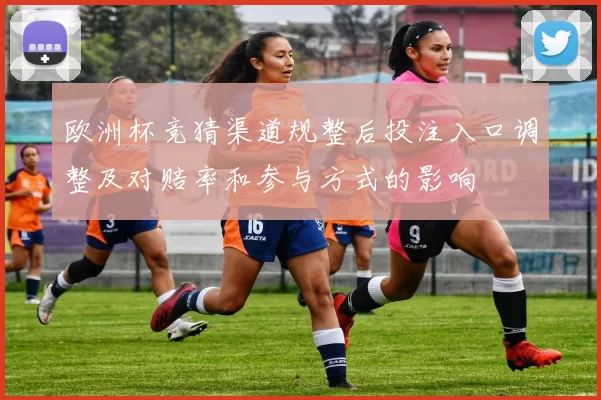 欧洲杯竞猜渠道规整后投注入口调整及对赔率和参与方式的影响