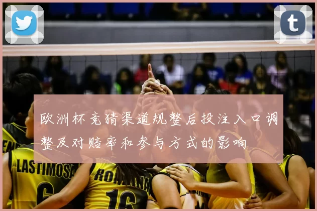 欧洲杯竞猜渠道规整后投注入口调整及对赔率和参与方式的影响