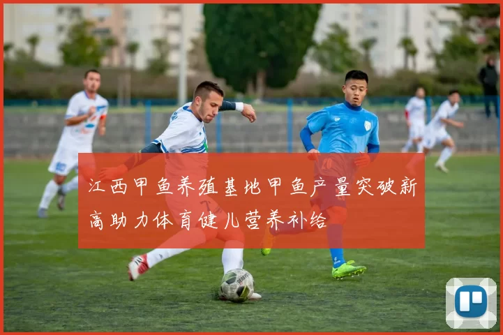江西甲鱼养殖基地甲鱼产量突破新高助力体育健儿营养补给